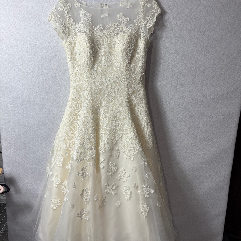 Ivory Lace A-Line Dress with Sheer Cap Sleeves - Picture 2 of 6